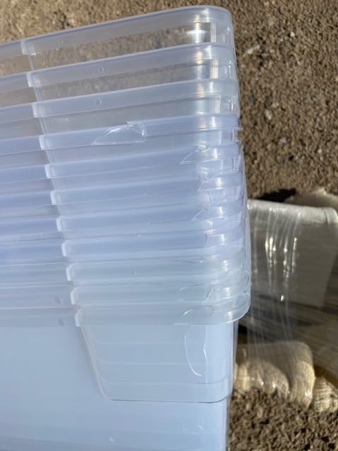 Cracked lid