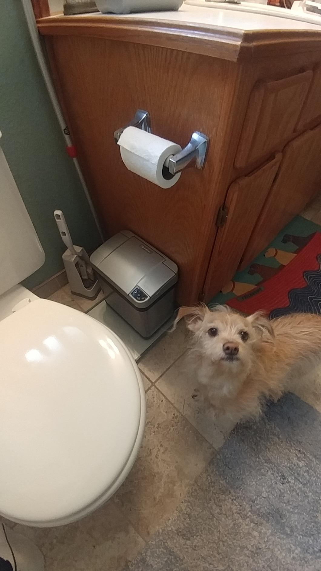 Best purchase for kitchen
