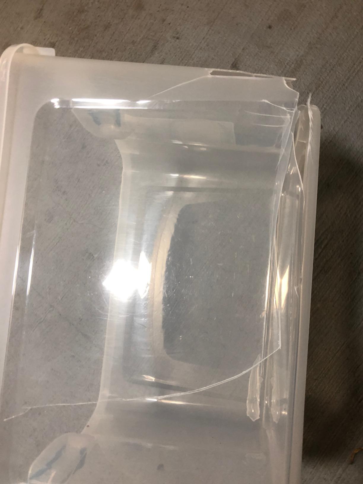 Great for the price