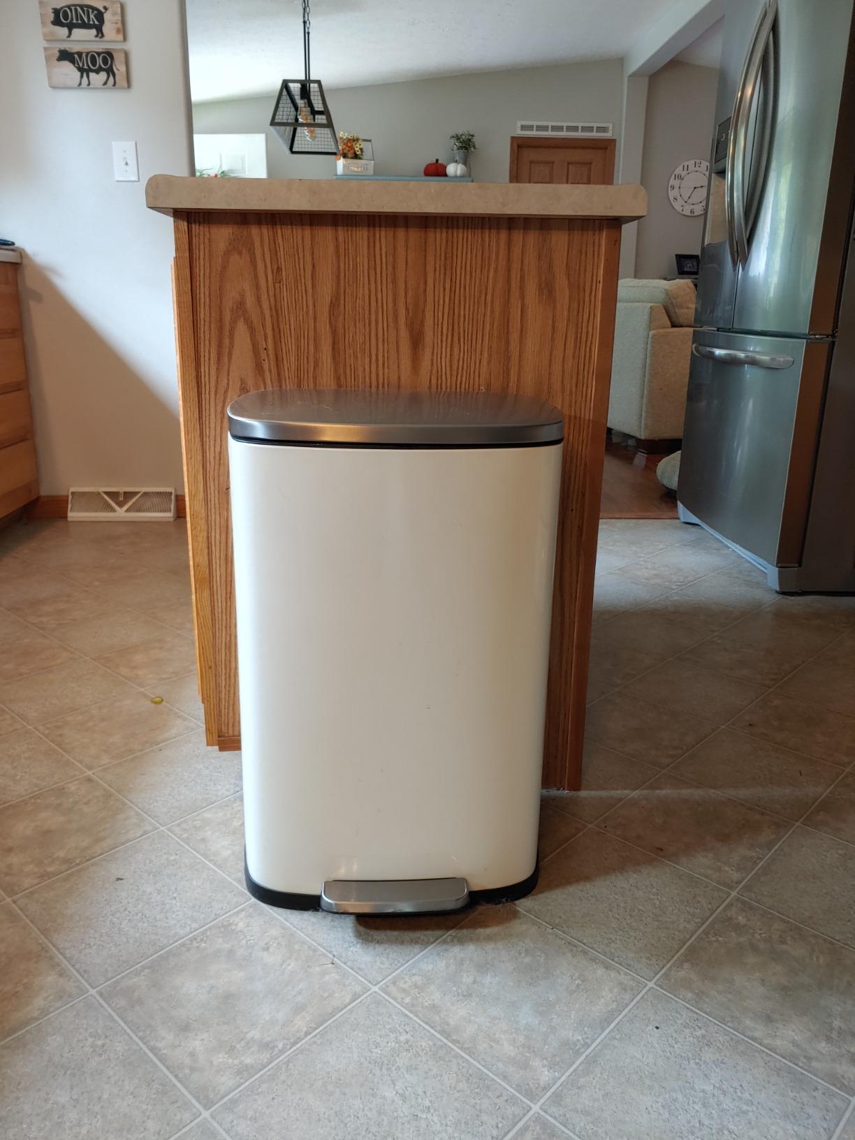 Finally a trash can that doesn't show fingerprints!