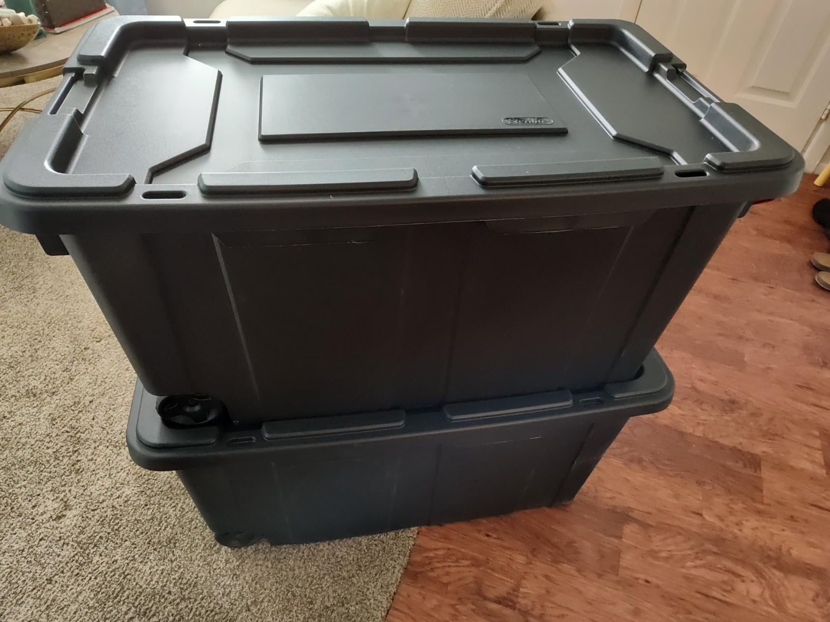 Best bins I've bought