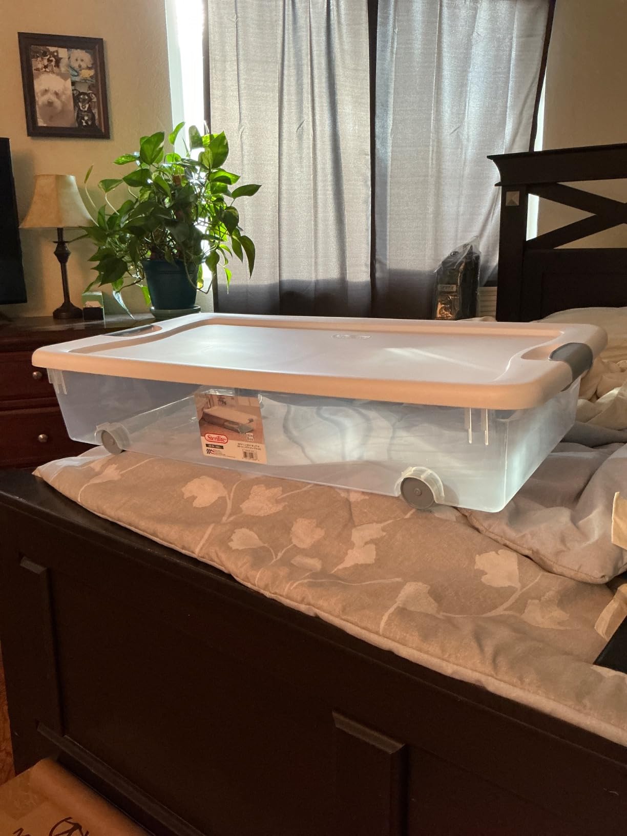 Good boxes, but lids could be tighter
